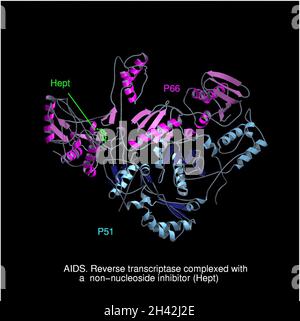 AIDS, complesso transcriptasi inversa/Hept Foto Stock