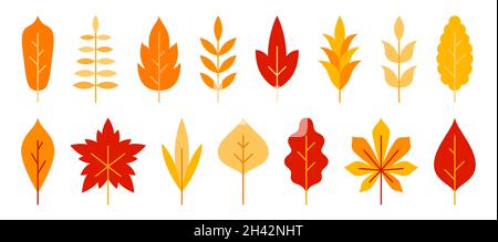 Set piatto arancione foglia. Natura albero ramo pianta selvaggia autunno oggetto collezione. Badge d'annata gratuito per elementi organici. Icona disegno matrimonio modello cartolina invito. Germoglio isolato su bianco Illustrazione Vettoriale