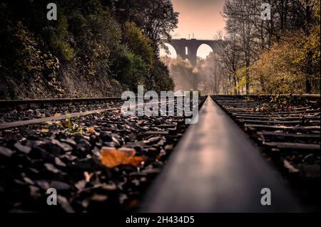 Vista autunnale del ponte Elstertal, un ponte ferroviario vicino Plauen (Sassonia, Germania), costruito nel 1851. Foto Stock