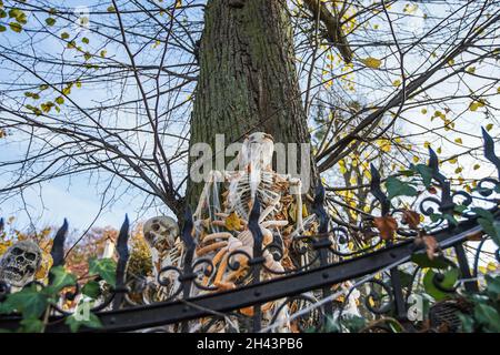 Danzica, Polonia. , . Vecchio palazzo decorato con zucche, reti ragno teschi, e scheletri in occasione di Halloween si vede a Gdansk, Polonia il 31 ottobre 2021 Credit: Vadim Pacajev/Alamy Live News Foto Stock