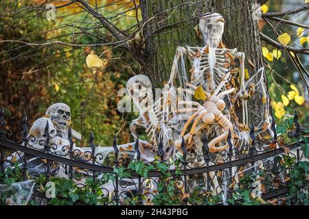 Danzica, Polonia. , . Vecchio palazzo decorato con zucche, reti ragno teschi, e scheletri in occasione di Halloween si vede a Gdansk, Polonia il 31 ottobre 2021 Credit: Vadim Pacajev/Alamy Live News Foto Stock