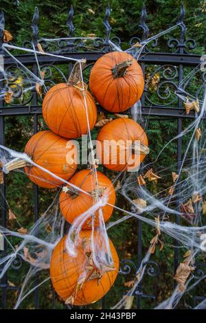 Danzica, Polonia. , . Vecchio palazzo decorato con zucche, reti ragno teschi, e scheletri in occasione di Halloween si vede a Gdansk, Polonia il 31 ottobre 2021 Credit: Vadim Pacajev/Alamy Live News Foto Stock