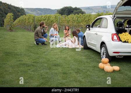 Amici in un pic-nic vicino vigneti Foto Stock