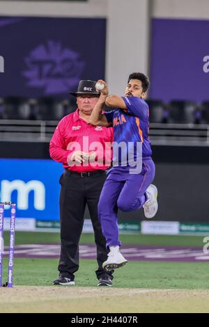 DUBAI, UAE, 0CT 31, 2021: Coppa DEL MONDO ICC T20 : India vs Nuova Zelanda : Sharadul Thakkur durante la Coppa del mondo ICC Cricket T20 nello Stadio Internazionale di Cricket di Dubai Domenica. Photo : Seshadri sukumar Credit: Seshadri SUKUMAR/Alamy Live News Foto Stock