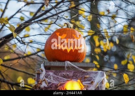 Danzica, Polonia. , . Vecchio palazzo decorato con zucche, reti ragno teschi, e scheletri in occasione di Halloween è visto a Gdansk, Polonia il 31 ottobre 2021 (Foto di Vadim Pacajev/Sipa USA) Credit: Sipa USA/Alamy Live News Foto Stock