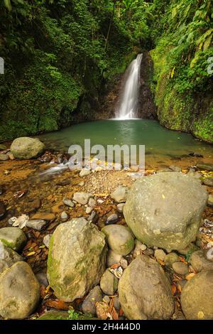 Seven Sisters Falls, Grenada Island, Grenada. Foto Stock