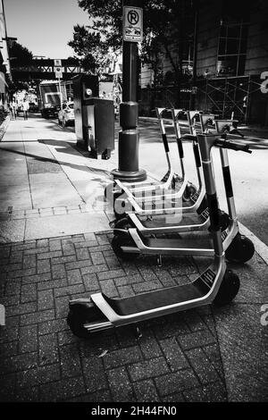 Charlotte, North Carolina, USA - 27 ottobre 2021: .Modern scooter urbani allineati sul marciapiede pronto a cavalcare in bianco e nero Foto Stock