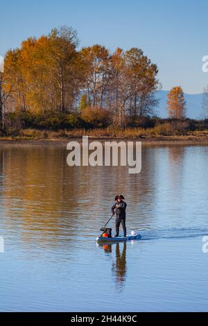 Paddleboarder su Halloween con una zucca e un cappello pirata sul lungomare Steveston nella British Columbia Canada Foto Stock