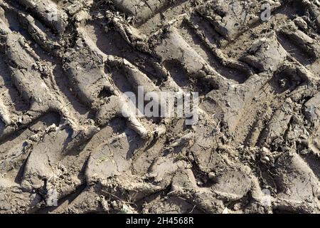 Cingoli degli pneumatici del trattore nel fango profondo Foto Stock