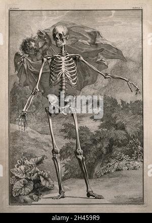 Uno scheletro, vista frontale, in piedi con braccio sinistro esteso, in un contesto pastorale. Incisione di linea di J. Wandelaar, 1740. Foto Stock