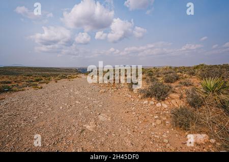 Strada non asfaltata nel deserto, piante del deserto, e cielo nuvoloso sfondo. Giornata di sole nel deserto dell'Arizona Foto Stock