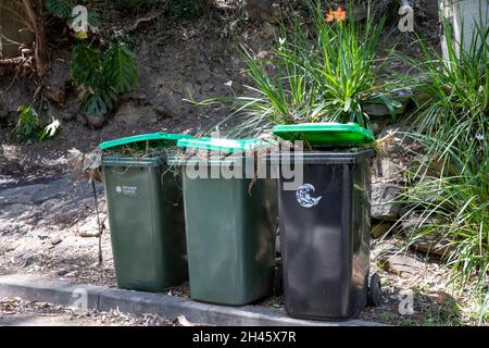 Australia, giardino verde wheely bidoni pieni di rifiuti e vegetazione giardino sulla strada in attesa di raccolta consiglio, Avalon Beach sobborgo a Sydney, Australia Foto Stock