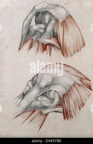 Muscoli, tendini e ossa dell'articolazione del ginocchio: Due figure. Disegno a gesso rosso e matita da o associato a A. Durelli, ca. 1837. Foto Stock