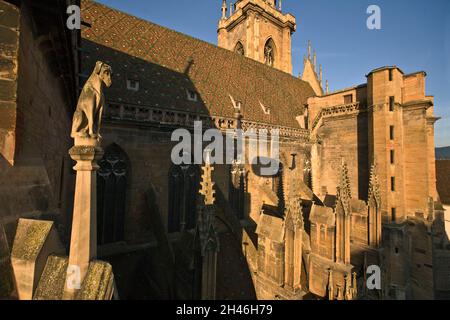 CENTRO STORICO. COLLEGIALE SAINT MARTIN. CONSTRUITE DE 1235 A 1365, LA COLLEGIALE EST UNE UVRE MAJEURE DE L'ARCHITECTURE GOTHIQUE EN ALSACE. DETTAGLIO Foto Stock