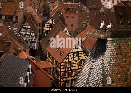 CENTRO STORICO. COLLEGIALE SAINT MARTIN. CONSTRUITE DE 1235 A 1365, LA COLLEGIALE EST UNE UVRE MAJEURE DE L'ARCHITECTURE GOTHIQUE EN ALSACE. A L'AU Foto Stock