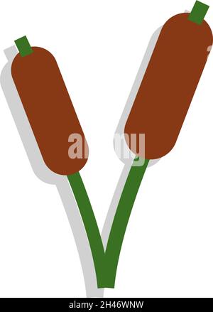 Pianta di bambù, illustrazione, vettore, su sfondo bianco. Illustrazione Vettoriale