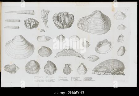 Illustrazione di un frammento di una bomba vulcanica sferica. Foto Stock