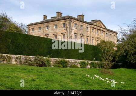 Howick Hall Mansion, Alnwick, Northumberland Foto Stock