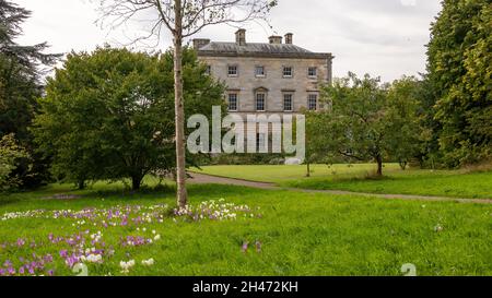 Howick Hall Mansion, Alnwick, Northumberland Foto Stock