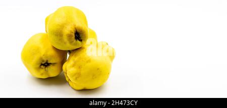 Quince su sfondo bianco. In combinazione con l'ombra di mela cotogna matura. Spazio vuoto per il testo. Spazio di copia Foto Stock