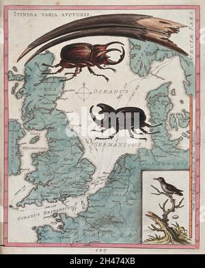 Due scarabei di Pag che strisciare su una mappa del mondo sotto una grande mandibola. Incisione colorata di G. Edwards. Foto Stock