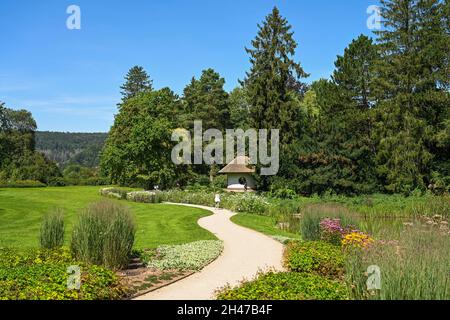 Teich, Kurpark, Bad Pyrmont, Niedersachsen, Germania Foto Stock