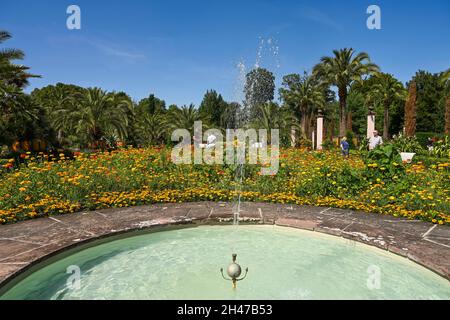 Springbrunnen, Palmengarten im Kurpark, Bad Pyrmont, Niedersachsen, Deutschland Foto Stock