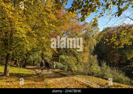 Herbst, Volkspark Wilmersdorf, Charlottenburg-Wilmersdorf, Berlino, Germania Foto Stock