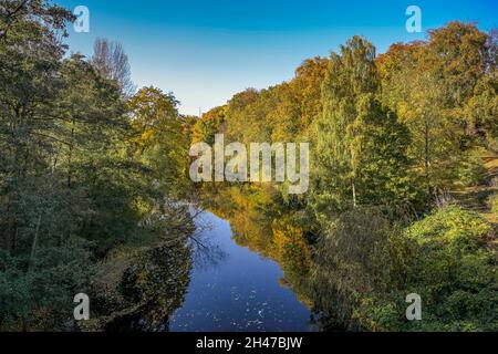 Herbst, Fennsee, Volkspark Wilmersdorf, Charlottenburg-Wilmersdorf, Berlino, Germania Foto Stock