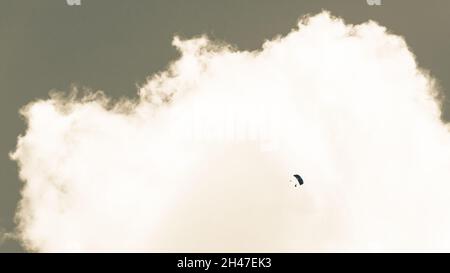 Skydiving tandem atleta da paracadutismo a distanza volo in solitaria ad alta quota, in terra battuta contro cielo e nuvola seppia paesaggio. Foto Stock