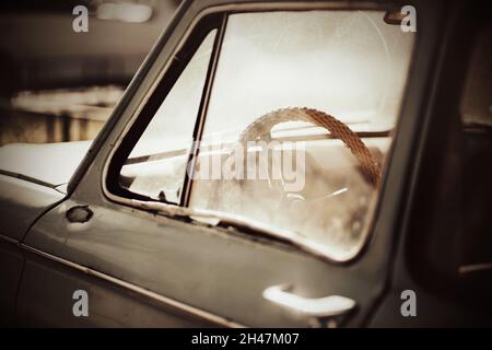 Una vecchia auto retrò grigia con un bel volante è illuminata dalla luce del sole. Industria automobilistica vintage. Trasporto del 20 ° secolo. Foto Stock