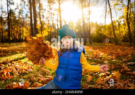 Bambini all'aperto. Divertente adorabile bambina raccoglie foglie di acero secco caduto che giocano tra le foglie gialle in un parco autunnale con raggi solari cadenti a. Foto Stock