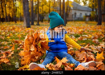 Allegro stupito bambina seduta nel parco autunnale foresta tra foglie di acero caduto e raccoglie mazzo carino, godendo di giochi all'aperto. Felice chi Foto Stock