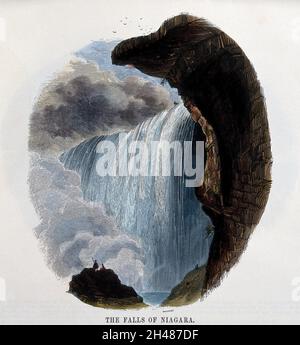 Geografia: Visitatori alle Cascate del Niagara. Incisione in legno colorato di C. Whymper. Foto Stock