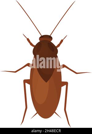 Bug di scarafaggio, illustrazione, vettore su sfondo bianco. Illustrazione Vettoriale