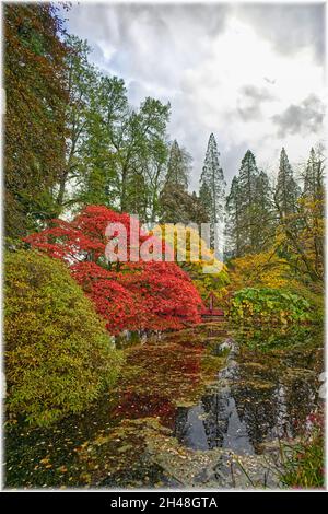 Benmore Botanic Garden Foto Stock
