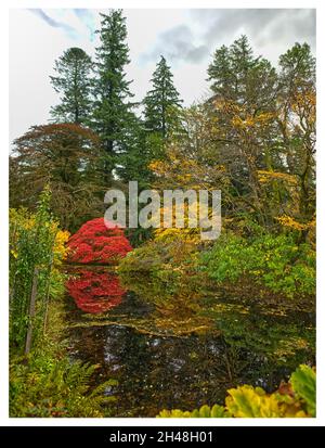 Benmore Botanic Garden Foto Stock