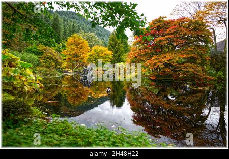 Benmore Botanic Garden Foto Stock