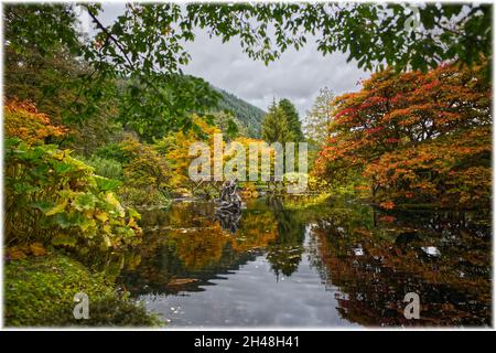 Benmore Botanic Garden Foto Stock