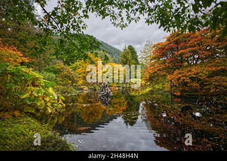 Benmore Botanic Garden Foto Stock