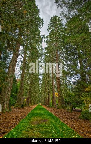 Benmore Botanic Garden Foto Stock