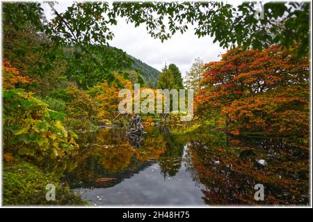 Benmore Botanic Garden Foto Stock