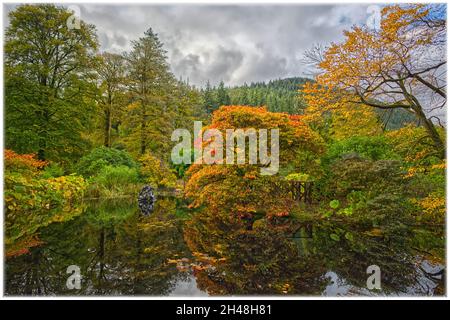 Benmore Botanic Garden Foto Stock