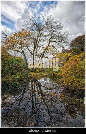 Benmore Botanic Garden Foto Stock
