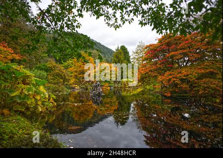 Benmore Botanic Garden Foto Stock