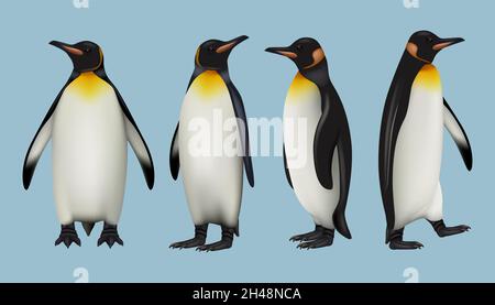 PINGUINS realistico. Fauna artica animali selvatici in freddo ambiente esterno padre madre e altri pinguini imperiali dignitoso vettore illustrazioni set Illustrazione Vettoriale