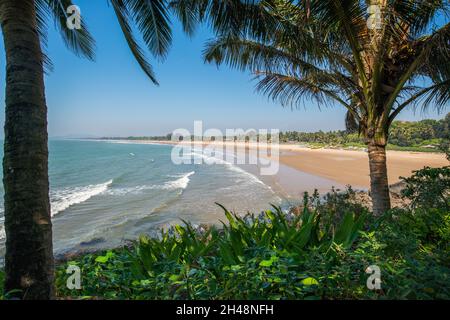 Vista idilliaca sulla spiaggia principale di Gokarna , India del Sud. Palme e sabbia e dolci onde rotolano sulla spiaggia di sabbia. Pesca barche in legno sulla spiaggia no Foto Stock