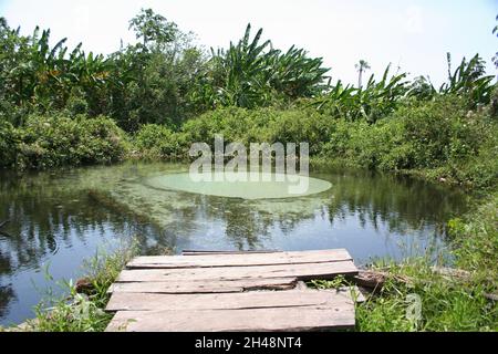 Piscina naturale conosciuta come Fervedouro nel Parco Nazionale di Jalapao, Tocantins, Brasile Foto Stock