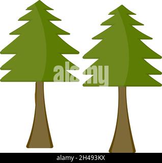 Albero di Pinecone, illustrazione, vettore su sfondo bianco. Illustrazione Vettoriale