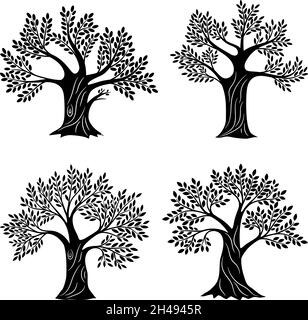 Silhouette di alberi viventi. Albero genealogico minimalista con fogliame, educazione alla vita e simboli di salute per logo aziendale, pittura di quercia o oliva legno grafica vettoriale Illustrazione Vettoriale